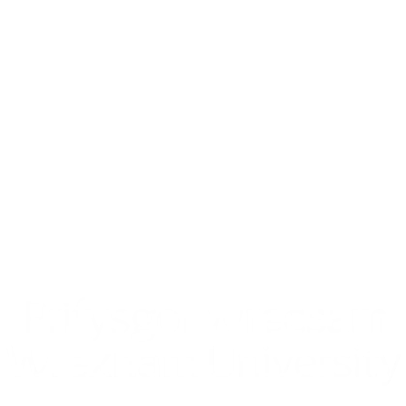 Wrexham University